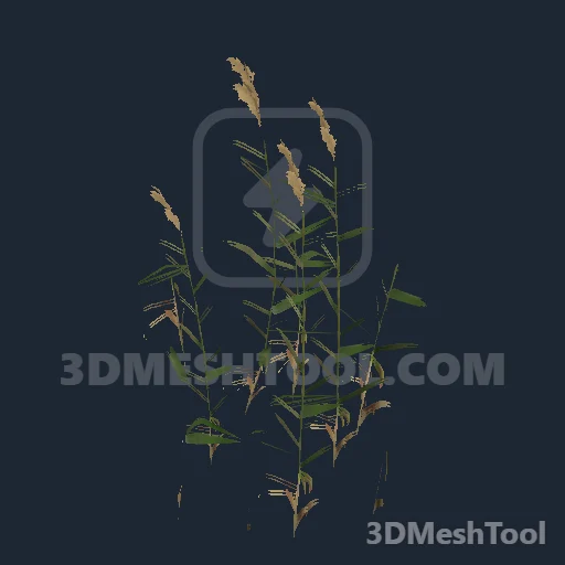 rdr_bush_tall_reeds_aa_sim - hash 0x442F0158 / 1143931224: foto no RedM (RDR2)