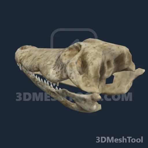 s_alligatorskull01x - hash 0x39BE6ADF / 968780511: foto no RedM (RDR2)