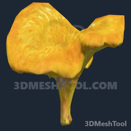 s_inv_chanterelles - hash 0xCFBBFBE2 / 3485203426: foto no RedM (RDR2)