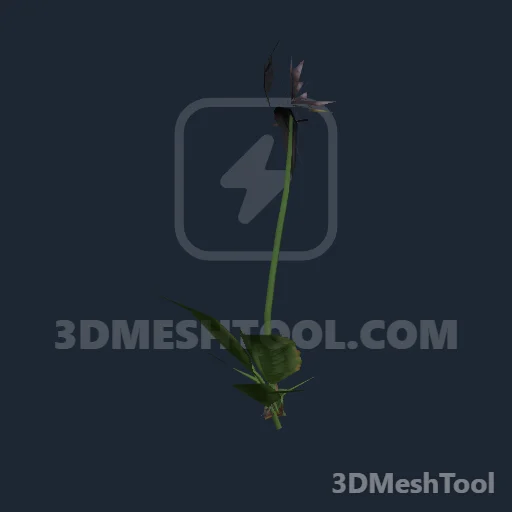 s_inv_orchid_blackbat02: foto do modelo no RedM (RDR2)