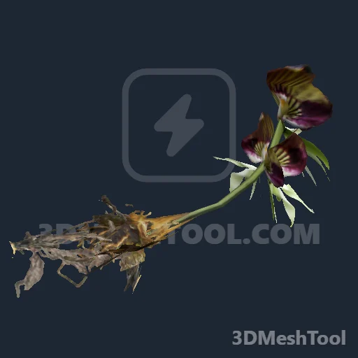 s_inv_orchid_clam_01x - hash 0xF8E3DD72 / 4175682930: foto no RedM (RDR2)
