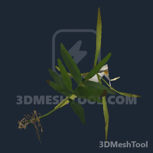 s_inv_orchid_nghtscnt_01x - hash 0x26DABFD2 / 651870162: foto no RedM (RDR2)