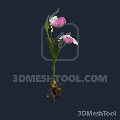 s_inv_orchid_q_01x: foto do modelo no RedM (RDR2)