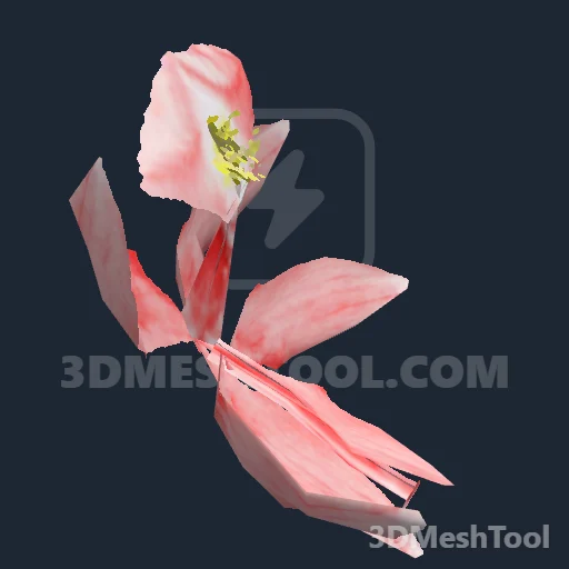 s_inv_orchid_se_01bx_temp - hash 0xD191A07E / 3515981950: foto no RedM (RDR2)