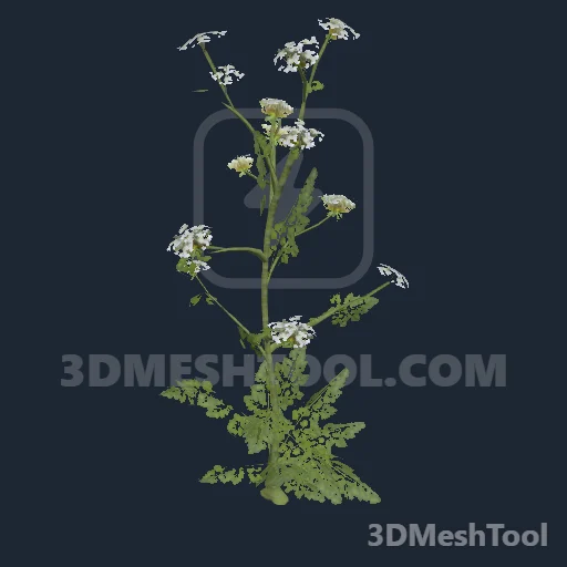 s_inv_wildcarrot01x - hash 0xD1751EEE / 3514113774: foto no RedM (RDR2)