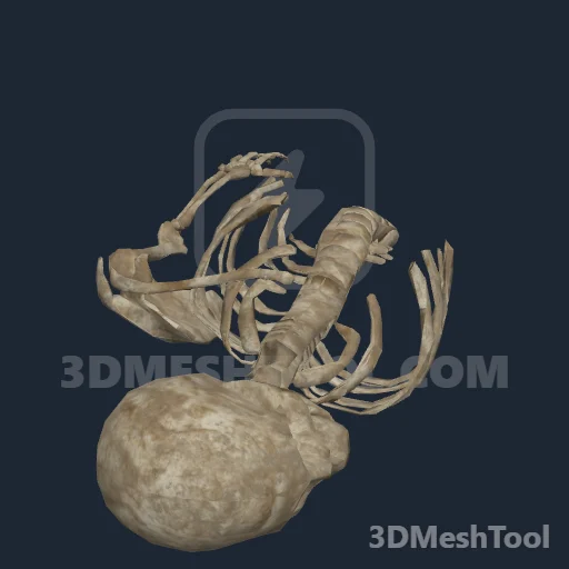 s_male_skeleton04: foto do modelo no RedM (RDR2)