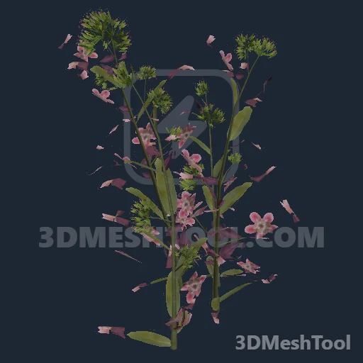 s_milkweed01x - hash 0xD6B0D72E / 3601913646: foto no RedM (RDR2)