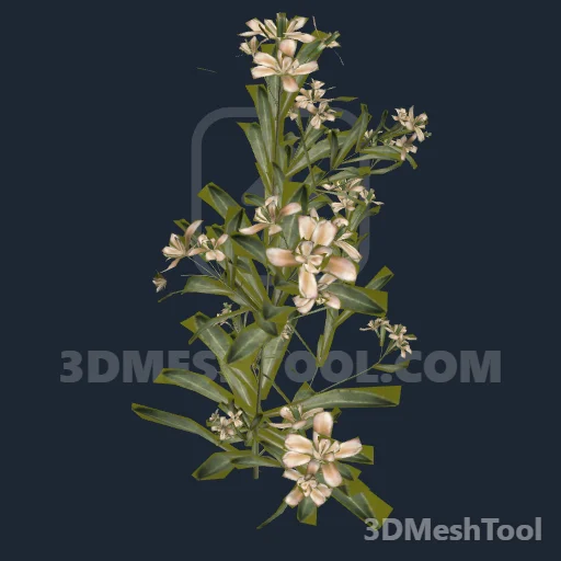 s_oleander01x - hash 0x672779E2 / 1730640354: foto no RedM (RDR2)