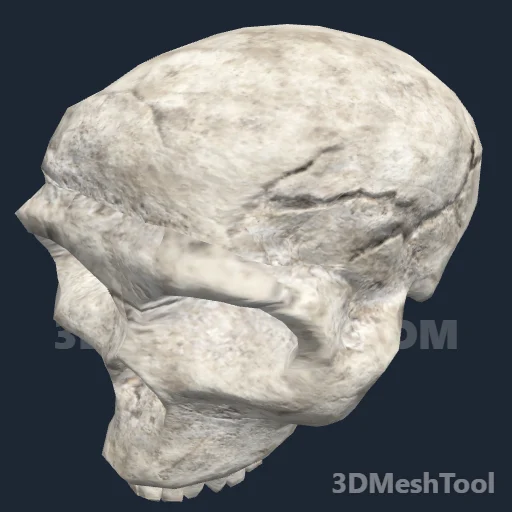 s_prehistoricmanskull_01x: foto do modelo no RedM (RDR2)