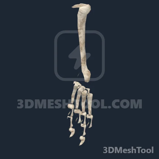 s_racoonhand_collectable - hash 0x01647BE0 / 23362528: foto no RedM (RDR2)