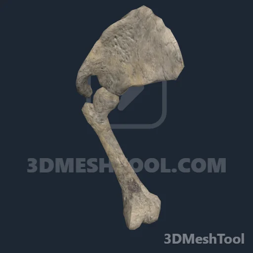 s_slothlimb01_collectable - hash 0x6CDD3E25 / 1826438693: foto no RedM (RDR2)
