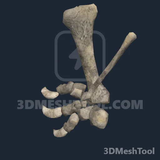s_slothlimb03_collectable - hash 0x5668EE07 / 1449717255: foto no RedM (RDR2)