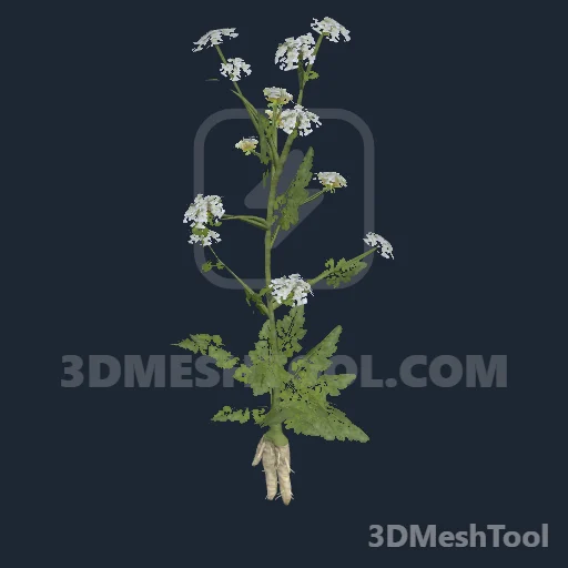 wildcarrot_p - hash 0xD0E41AB0 / 3504609968: foto no RedM (RDR2)