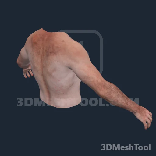 Sem nome · 0x144BC64A: foto do modelo no RedM (RDR2)