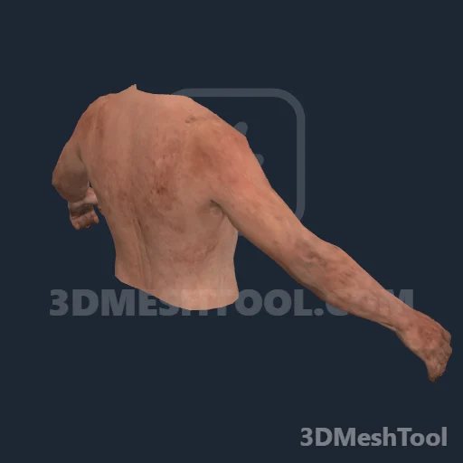 Sem nome · 0x206061DB: foto do modelo no RedM (RDR2)