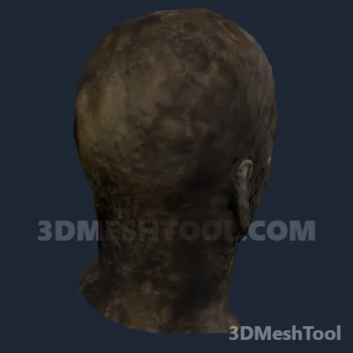 Sem nome · 0x39D2B100: foto do modelo no RedM (RDR2)