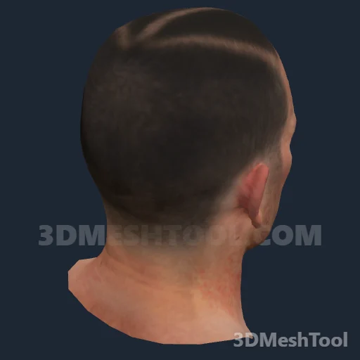 Sem nome · 0x59465335: foto do modelo no RedM (RDR2)