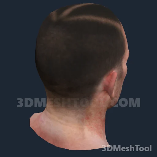 Sem nome · 0xAB2D6178: foto do modelo no RedM (RDR2)