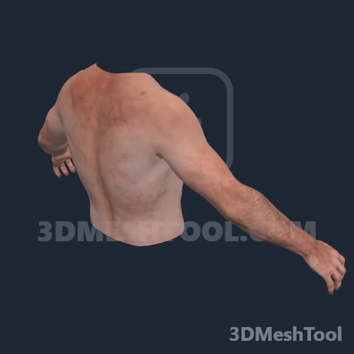 Sem nome · 0xD1EA60DC: foto do modelo no RedM (RDR2)