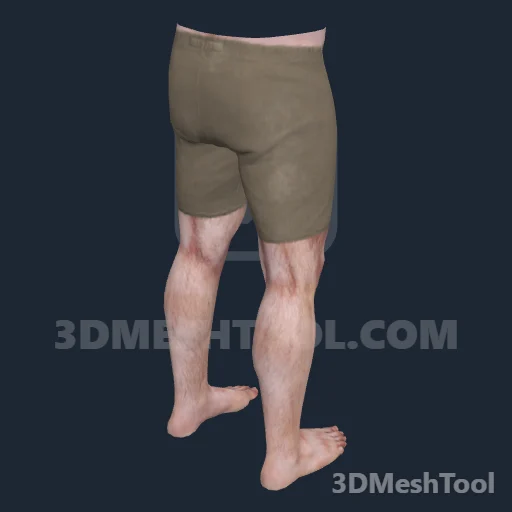 Sem nome · 0xD63FB221: foto do modelo no RedM (RDR2)