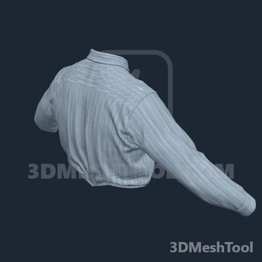 CLOTHING_HL_PLAYER_SHIRT_000_1 - hash 0x9CDC866A / 2631698026: foto no RedM (RDR2)