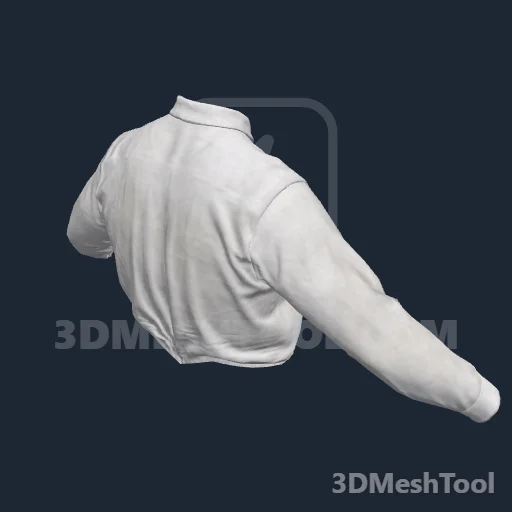 CLOTHING_HL_PLAYER_SHIRT_000_21: foto do modelo no RedM (RDR2)