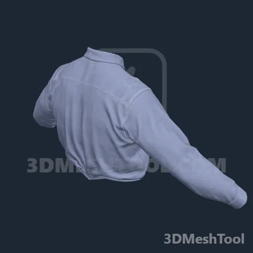 CLOTHING_HL_PLAYER_SHIRT_000_22 - hash 0x5BE9915D / 1542033757: foto no RedM (RDR2)