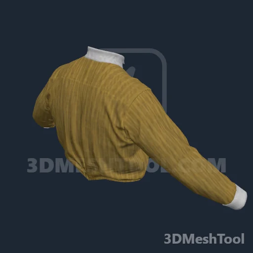 CLOTHING_HL_PLAYER_SHIRT_009_5: foto do modelo no RedM (RDR2)