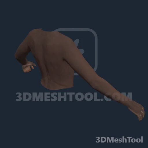 CLOTHING_ITEM_F_BODIES_UPPER_001_V_006: foto do modelo no RedM (RDR2)