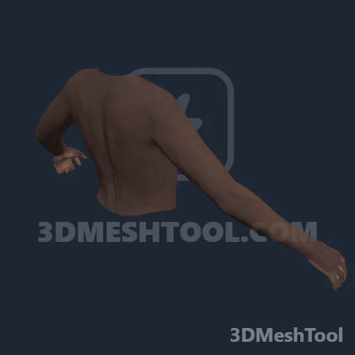 CLOTHING_ITEM_F_BODIES_UPPER_004_V_006: foto do modelo no RedM (RDR2)