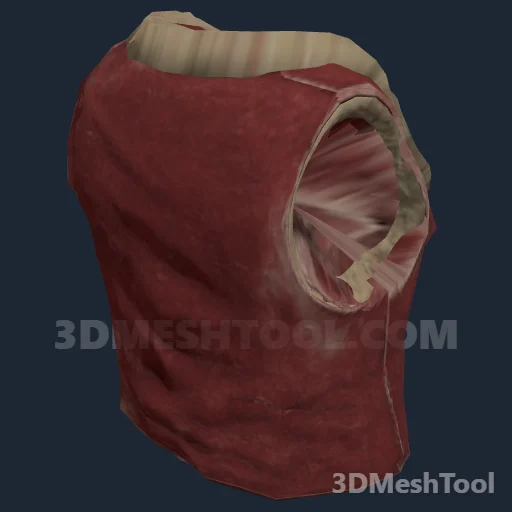 CLOTHING_ITEM_F_COPPERHEAD_VEST_000 - hash 0x74DA69C2 / 1960470978: foto no RedM (RDR2)