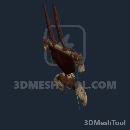 CLOTHING_ITEM_F_GUNBELT_ACCS_301_TINT_001: foto do modelo no RedM (RDR2)
