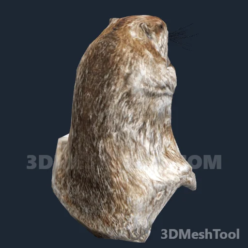 CLOTHING_ITEM_F_HAT_232_BEAVER_VAR_003 - hash 0xDCB655CF / 3702937039: foto no RedM (RDR2)