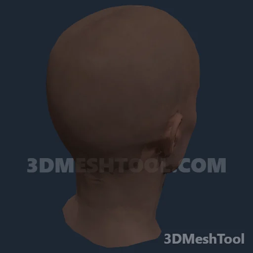 CLOTHING_ITEM_F_HEAD_002_V_006 - hash 0x9D3F64C1 / 2638177473: foto no RedM (RDR2)