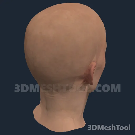 CLOTHING_ITEM_F_HEAD_003_V_004 - hash 0x65A5CE70 / 1705365104: foto no RedM (RDR2)
