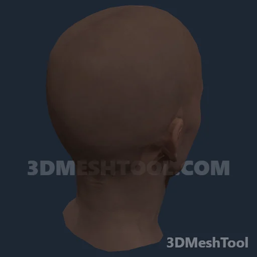 CLOTHING_ITEM_F_HEAD_003_V_006: foto do modelo no RedM (RDR2)