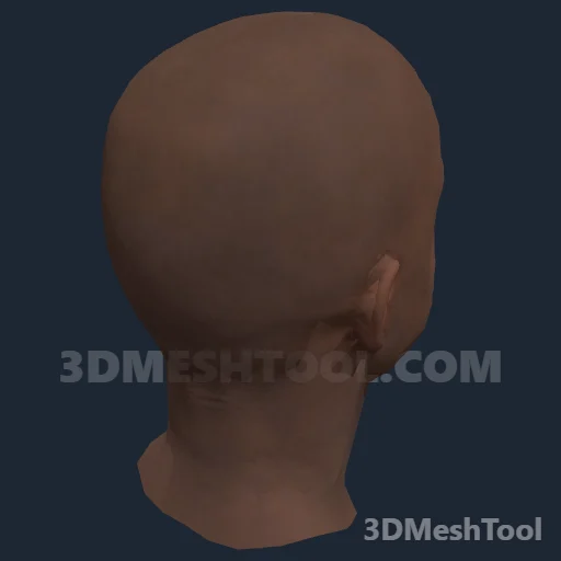 CLOTHING_ITEM_F_HEAD_005_V_002 - hash 0x11F10982 / 301009282: foto no RedM (RDR2)