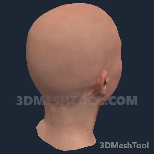 CLOTHING_ITEM_F_HEAD_006_V_001 - hash 0x6D06466A / 1829127786: foto no RedM (RDR2)