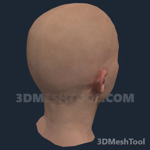 CLOTHING_ITEM_F_HEAD_007_V_003: foto do modelo no RedM (RDR2)