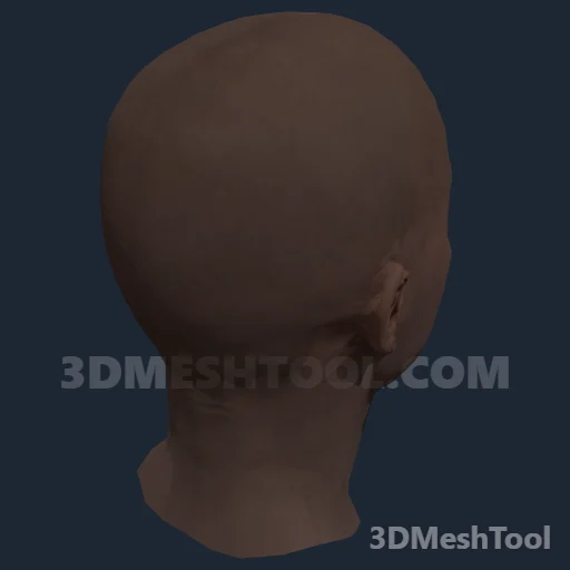CLOTHING_ITEM_F_HEAD_007_V_006 - hash 0xE8E50D99 / 3907325337: foto no RedM (RDR2)