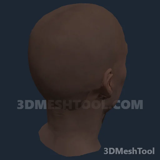 CLOTHING_ITEM_F_HEAD_012_V_006 - hash 0x89B0F7FE / 2310076414: foto no RedM (RDR2)