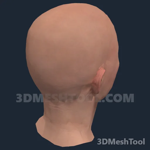 CLOTHING_ITEM_F_HEAD_013_V_001 - hash 0x18665C91 / 409361553: foto no RedM (RDR2)