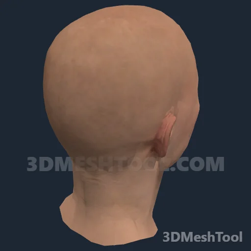 CLOTHING_ITEM_F_HEAD_013_V_004 - hash 0x98B8DD4C / 2562252108: foto no RedM (RDR2)