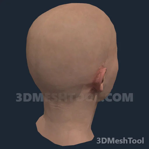 CLOTHING_ITEM_F_HEAD_014_V_003 - hash 0xFEA98F74 / 4272525172: foto no RedM (RDR2)