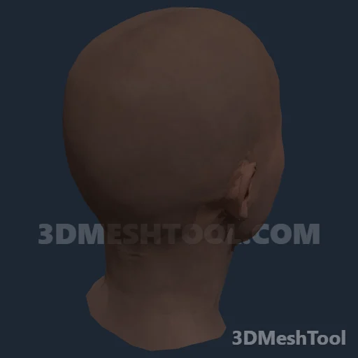 CLOTHING_ITEM_F_HEAD_014_V_006 - hash 0x53B5B98F / 1404418447: foto no RedM (RDR2)