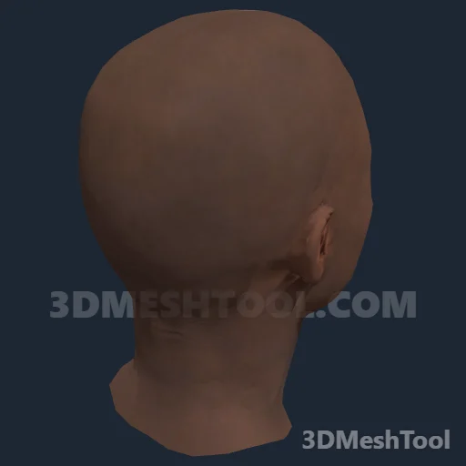 CLOTHING_ITEM_F_HEAD_015_V_002 - hash 0x50882CFA / 1351101690: foto no RedM (RDR2)