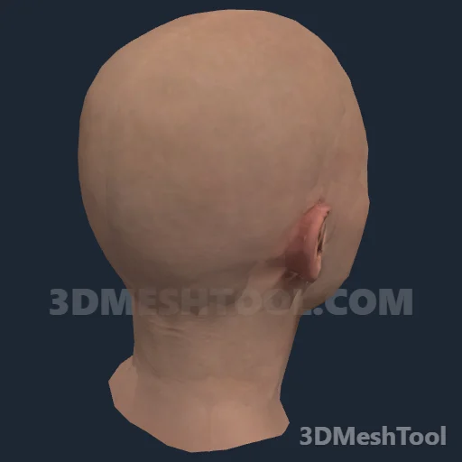 CLOTHING_ITEM_F_HEAD_015_V_003 - hash 0xA2B1D14C / 2729562444: foto no RedM (RDR2)
