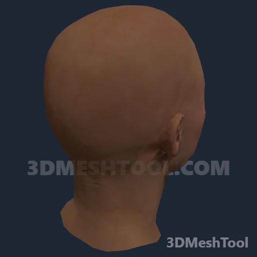 CLOTHING_ITEM_F_HEAD_015_V_005: foto do modelo no RedM (RDR2)