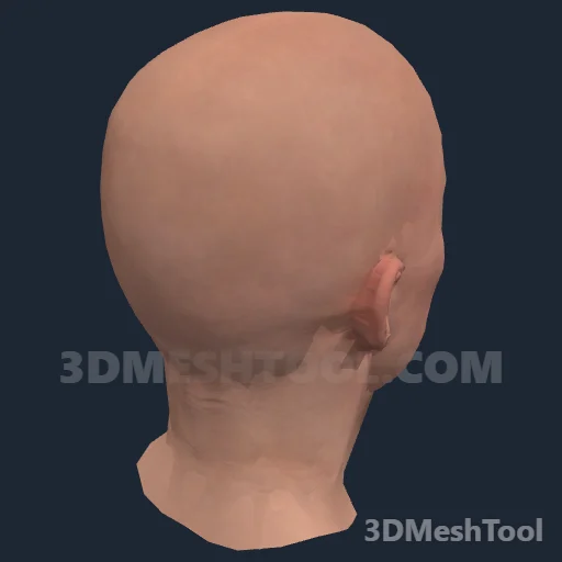 CLOTHING_ITEM_F_HEAD_027_V_001: foto do modelo no RedM (RDR2)