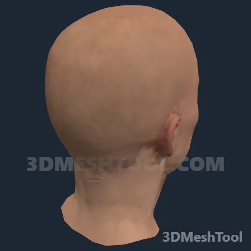 CLOTHING_ITEM_F_HEAD_027_V_004 - hash 0x50A1A9F2 / 1352772082: foto no RedM (RDR2)